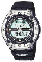 CASIO AQW-100-1A