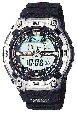 CASIO AQW-100-1A