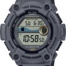 CASIO WS-1300H-8A