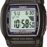 Черный полимерный ремешок Casio 10162570 для часов Casio W-201-1A