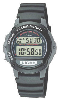 CASIO LW-22H-1A