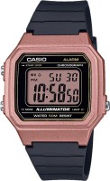 CASIO CLASSIC W-217HM-5A