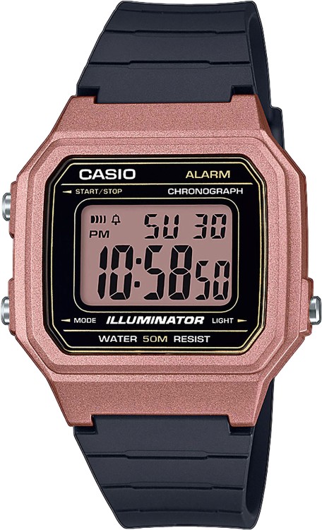 CASIO CLASSIC W-217HM-5A