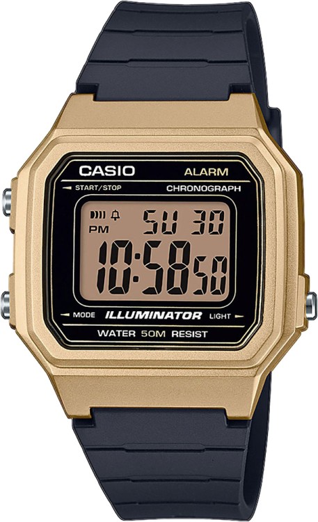 CASIO CLASSIC W-217HM-9A