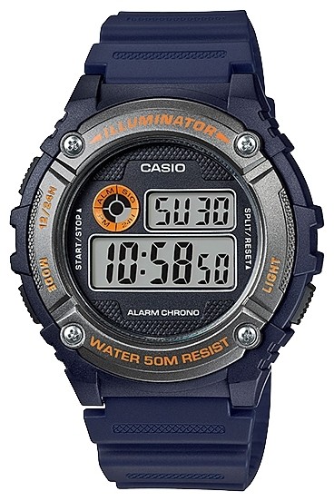CASIO CLASSIC W-216H-2B
