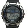 Черный полимерный ремешок Casio 10302043 для часов Casio AE-2000, AE-2100, WV-200