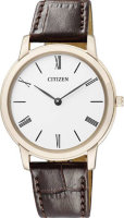 CITIZEN EG6003-17A