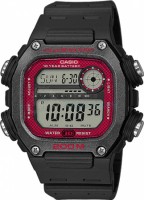 CASIO CLASSIC DW-291H-1B