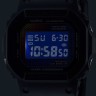 Casio DW-5600RW-1