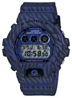 CASIO G-SHOCK  DW-6900ZB-2E