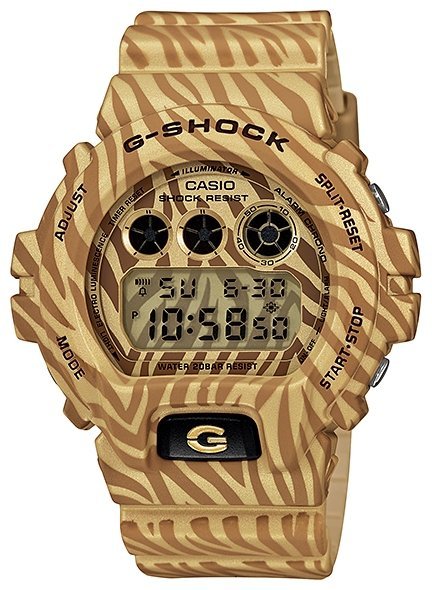 CASIO G-SHOCK  DW-6900ZB-9E