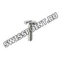 Стальной винт Casio 10123230 для часов Casio PRG-100-1B, GBA-800-2A, GBA-800-3A, GBA-800-7A, GBA-800-8A