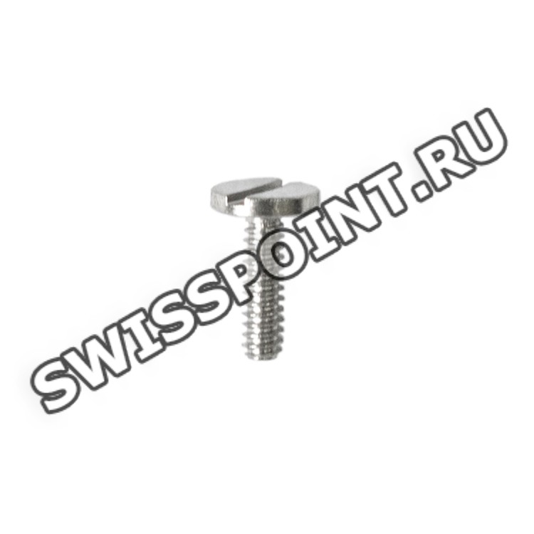 Стальной винт Casio 10123230 для часов Casio PRG-100-1B, GBA-800-2A, GBA-800-3A, GBA-800-7A, GBA-800-8A