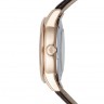 Наручные часы Orient RA-AK0009T10B