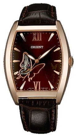 ORIENT FDBAE001T / DBAE001T