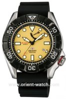 ORIENT SEL03005Y / EL03005Y made in Japan