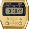 CASIO A1100G-5E